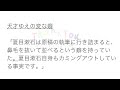 【2月21日】今日は何の日？今日の話の種にちょいかじ