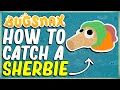 HOW TO CATCH A SHERBIE IN BUGSNAX - WAMBUS DIGS DEEP - UNDERGROWTH! - BOILING BAY
