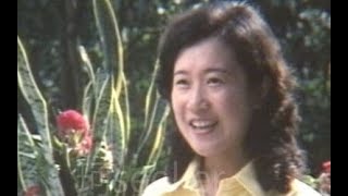 The 80's Beauty illustrates how Guangzhou Baiyun Mountain Developed 丨 Exclusive Video