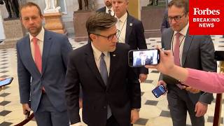 Speaker Johnson Asked Point Blank: 'Why Not Just Drop The Weaponization Fund?'