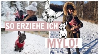 SO ERZIEHE ICH MEINEN HUND MYLO 🐶❣️Tipps und Tricks