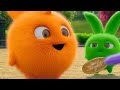 Sunny Bunnies - OLYMPICS COMPILATION  Videos For Kids  Funny Videos For Kids Videos For Kids