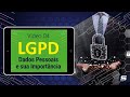 Série LGPD: #4 Dados pessoais e sua importância