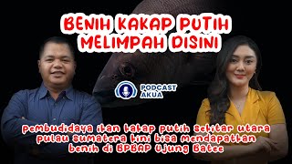 #Podcast #AKUA edisi 8 -benih #ikan #kakap di utara pulau sumatera melimpah