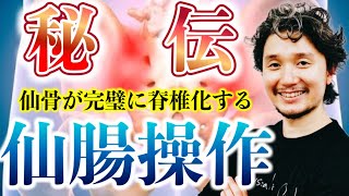 仙腸操作｜仙骨が完璧に脊椎化する極秘伝！【フィジカリストOuJi】