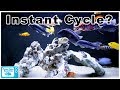 How to Cycle a Fish Tank FAST!