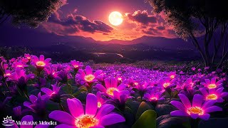 Quiet Flower Field 💜 Soft Calming Sleep Music 🎵 Drift Away To Sleep | Wake Up Renewed - Positiv...