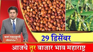 तूर बाजार भाव वाढले 29 डिसेंबर 2024 / Tur bhazar bhav today / महाराष्ट्रा तूर भाव असे...तेजी येणार