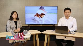 โรคข้อเสื่อมในหมาแมวและการใช้อาหารเสริม | รายการ pet care onair