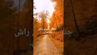 بهترین  مقاصد پاییزی ایران😲.Iran's autumn destinations که خوراک  عکاسیه.. مقصد  پاییزی  شهرتون  چیه؟