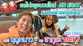 รถไฟหรูสุดแห่ง JR EAST Saphir Odoriko - เที่ยว IZU ฤดูหนาวชมซากุระ DAY 1