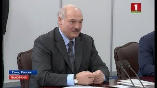 Переговоры Александра Лукашенко и Владимира Путина прошли в Сочи. Панорама