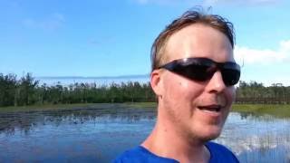 Top 5 Alligator Safety Tips!