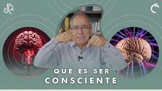 ESTO ES SER CONSCIENTE - Consciencia