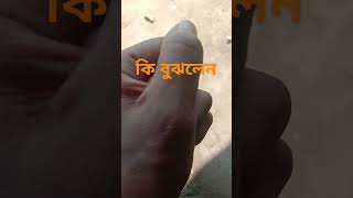 কি বুঝলেন