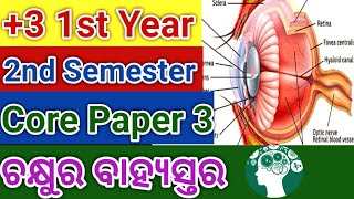 +3 1st Year//2nd Semester// Core Paper- 3/ The Eye // ଚକ୍ଷୁର ବାହ୍ୟସ୍ତର କିପରି?// Utkal University।।