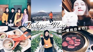 不一樣的日本行！輕井澤滑雪、草莓吃到飽、貓咪咖啡廳 Tokyo Vlog｜黃小米Mii