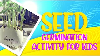 How does a seed become a Plant? Seed germination discovery for kids