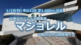 マジョレル 1/19(日) 中山12R 3歳未勝利 芝1,600m出走