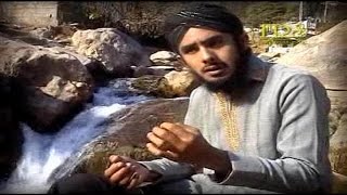 Muhammad Shakeel Qadri Manqabat | Jane Ya Ali | Rabi Ul Awal Manqabat