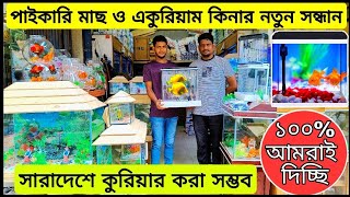 aquarium price in Bangladesh। aquarium fish wholesale shop in katabon। aquarium fish price। aquarium