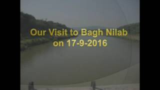 Bagh Neelab