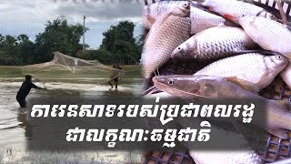 Natural fishing Kampong T hom Province ការនេសាទត្រីបែបធម្មជាតិ ខេត្តកំពង់ធំ