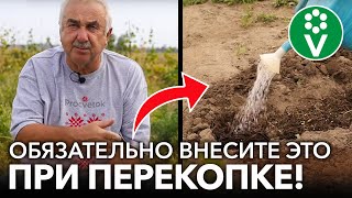 ЧТО ДОБАВИТЬ ПРИ ПЕРЕКОПКЕ ПОЧВЫ ОСЕНЬЮ, чтобы повысить плодородие и отпугнуть вредителей?