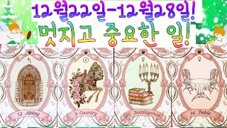 🌈✨[타로]🎄12월22일~12월28일 주간타로!🎄 멋지고 중요한 일 !!🚪🌼📖👀