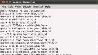 Shell Scripting Tutorial-44: The 'passwd' File Explained