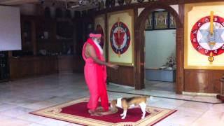 Pujya Swamiji plays with Nerve - its last video-21st May 2011