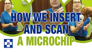 How to insert and scan a microchip