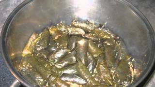 Mom's Chaldean Dolma - Cooking Recipe - How to make The Best Stuffed Grape Leaves on Planet Earth!