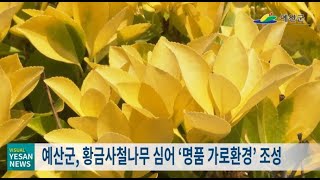 210624 VISUAL YESAN NEWS 134회