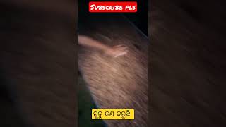 ଗୁଡୁ ର କି କାମ#youtubeshorts #subscribe #trending #viral #cutebaby #viralshorts