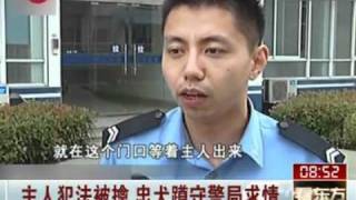 主人违法被抓 忠犬蹲守见警察就求情