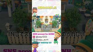 【出待ちされました】#あつ森 #acnh #どうぶつの森 #animalcrossing #あつ森ショート #short #shortyoutube