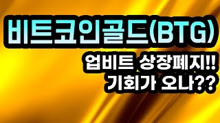 비트코인골드(BTG)분석영상ㅣ업비트 상장폐지!!기회가 오나??아무도 알려주지 않는 비법 공개!!!