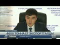 Түркістан облысынан 4600 тонна ет экспортталды