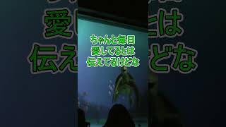 クラッシュはプロポーズするときなんて言ったんですか？【タートルトーク】東京ディズニーシー