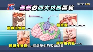 一心二用 彈琴記數 最強大腦 能力驚人 T觀點 20190615 (2/4)