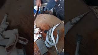 Kola fish cutting / Fish Cutting Videos