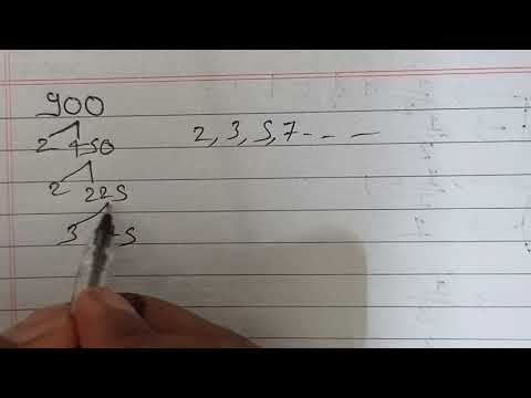 What is the factor tree of 900?