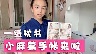 手帐时间到啦！畅畅选最喜欢的系列，小麻薯一纸枕书【畅畅桐桐vlog】