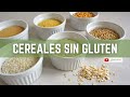 💡 GLUTEN-FREE FOODS | Gluten-free CEREALS | How to replace wheat in the diet ?