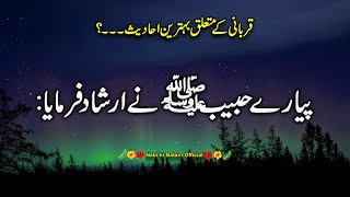 Qurbani Ke Mutaliq 2 Behtareen Akhadis | Hadith Of The Day | Nabi Ki Batain | #trending |#qurbani