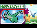 【ポケモンgo】色違いラティオス出現！！早速初ゲット！　レイドウィークエンド