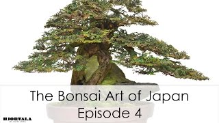 The Bonsai Art of Japan - Episode 4