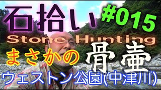 【石拾い No.15】まさかの骨壷　 #石拾い #Stonehounding　#ウェストン公園