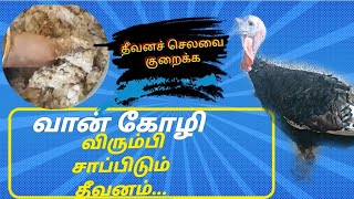 வான் கோழி விரும்பி சாப்பிடும் தீவனம்...